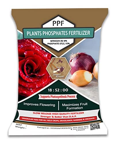 Shehri Kisaan® PPF Plants Phosphates Fertilizer- 950 Grams | Improves Flowering | Plant Nutrient & Plant Food | Granular Fertilizers for Home Plants and Gardening Purpose | Stronger & Faster Than DAP
