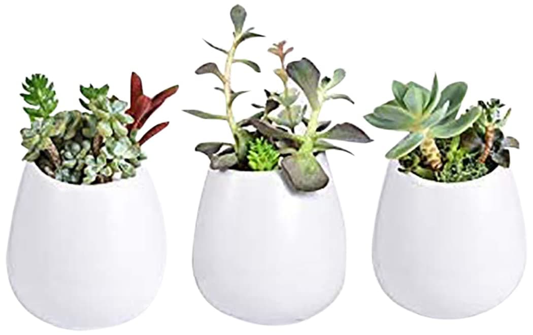 Set of 3 Wall Hanging Planters Pots Ceramic White,Indoor & Outdoor Home Decor Mini Plants Holder Flower Stands Wall Mounted Plant Containers Vase for Succulents,Cactus,Bamboo,Air Plant,Silk Flower