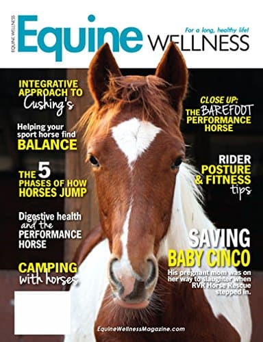 Equine Wellness
