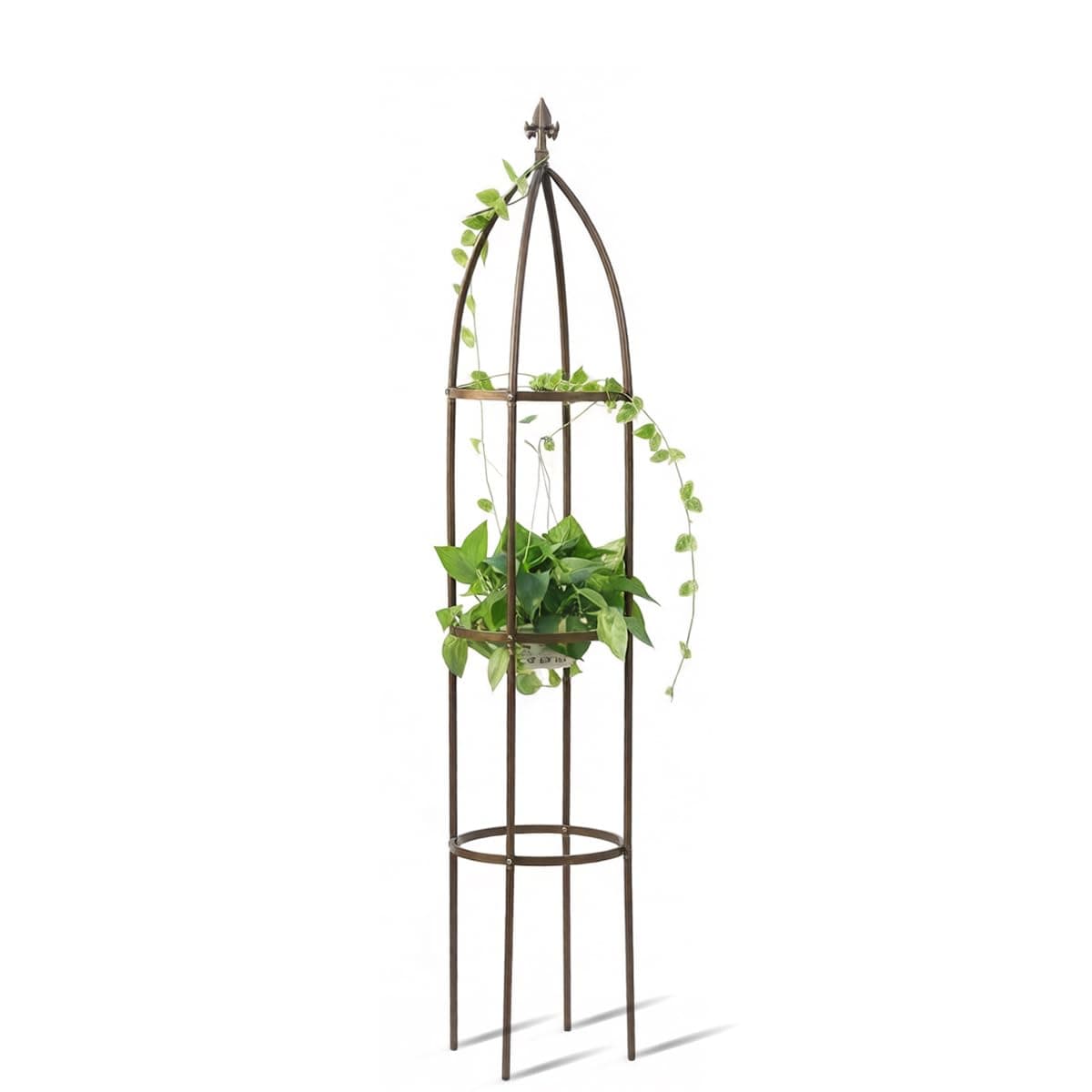 100% Metal Obelisk Garden Trellis 5.5 Feet Tall Sturdy Plant Support for Climbing Vines and Flowers Stands,1pc Upgrade (Bronze, Medium)