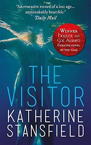 The Visitor Paperback – 1 July 2015