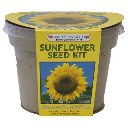 ALLWAY Tool SPMR6 Russian Sunflower Kit