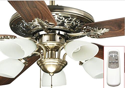 Ocean Lamp LD52 Decorative Ceiling Fan W/remoteNew