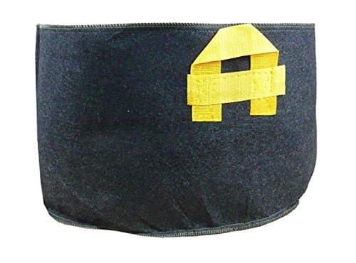 VegieMaster 10 Pack -200 Gallon Soft-Sided Fabric Aeration Plant Container Dirt Pot Grow Bag, Black with Strap Handles