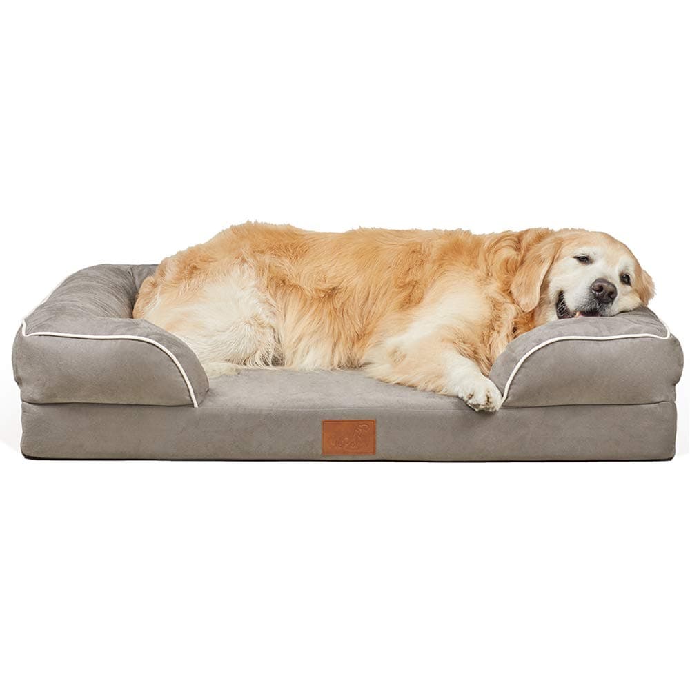 MePet 4" Mattress Orthopedic Memory Foam Dog Bed Lounge Sofa for Large Dog with Chew Proof 100% Suede Removable Cover Size 44" x 34"