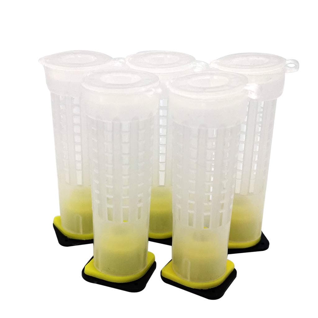 Pack of 10 Beekeeping Tools Queen Bee Rearing Cell Tubular Cup Cages Holder Fixtures