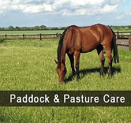 1 Acre Horse Pony Paddock Mix Repair Paddock OVERSEED Pastures Grass Seed 1 Acre