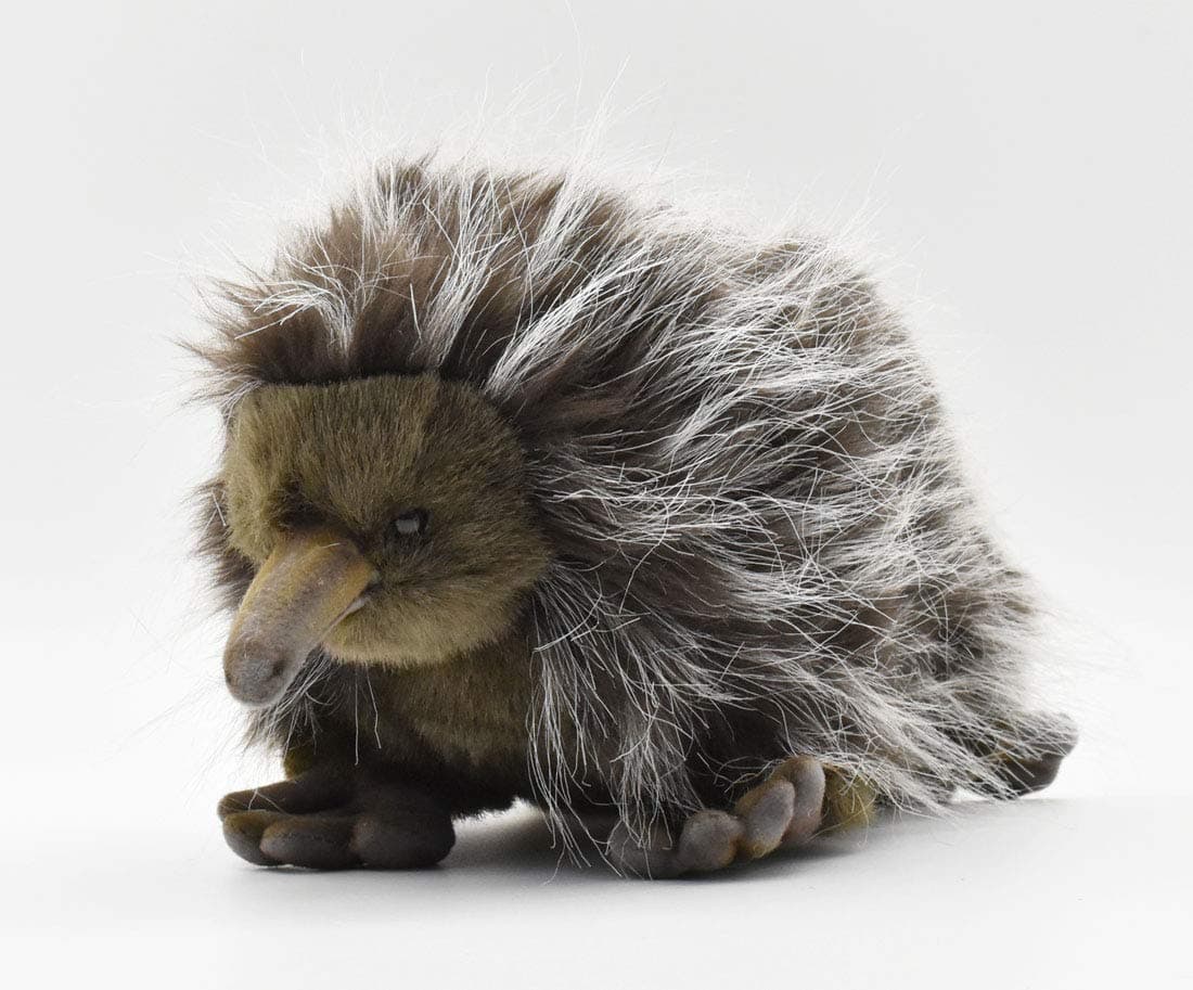 Echidna No.3698 (Japan Import)