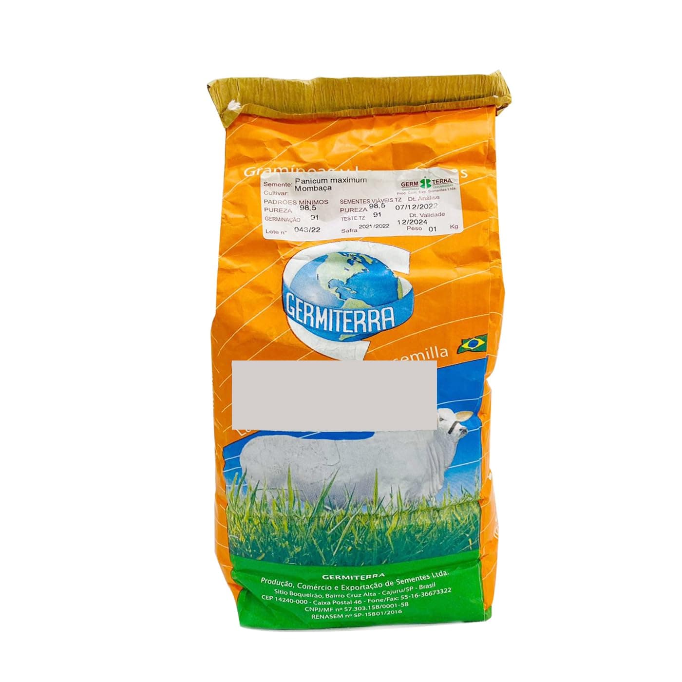 Germiterra Bonicam Mombasa F1 Quality Seeds Made in Brazil/Panicum bembasa seeds Tanzania Grass/Suitable for UAE Climate 1kg