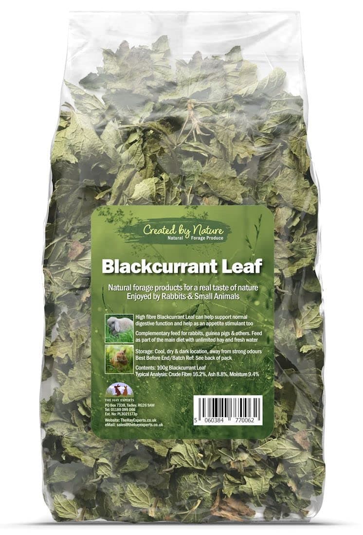 Blackcurrant Leaf (The Hay Experts) - Natural Forage for Rabbits, Guinea Pigs & Others