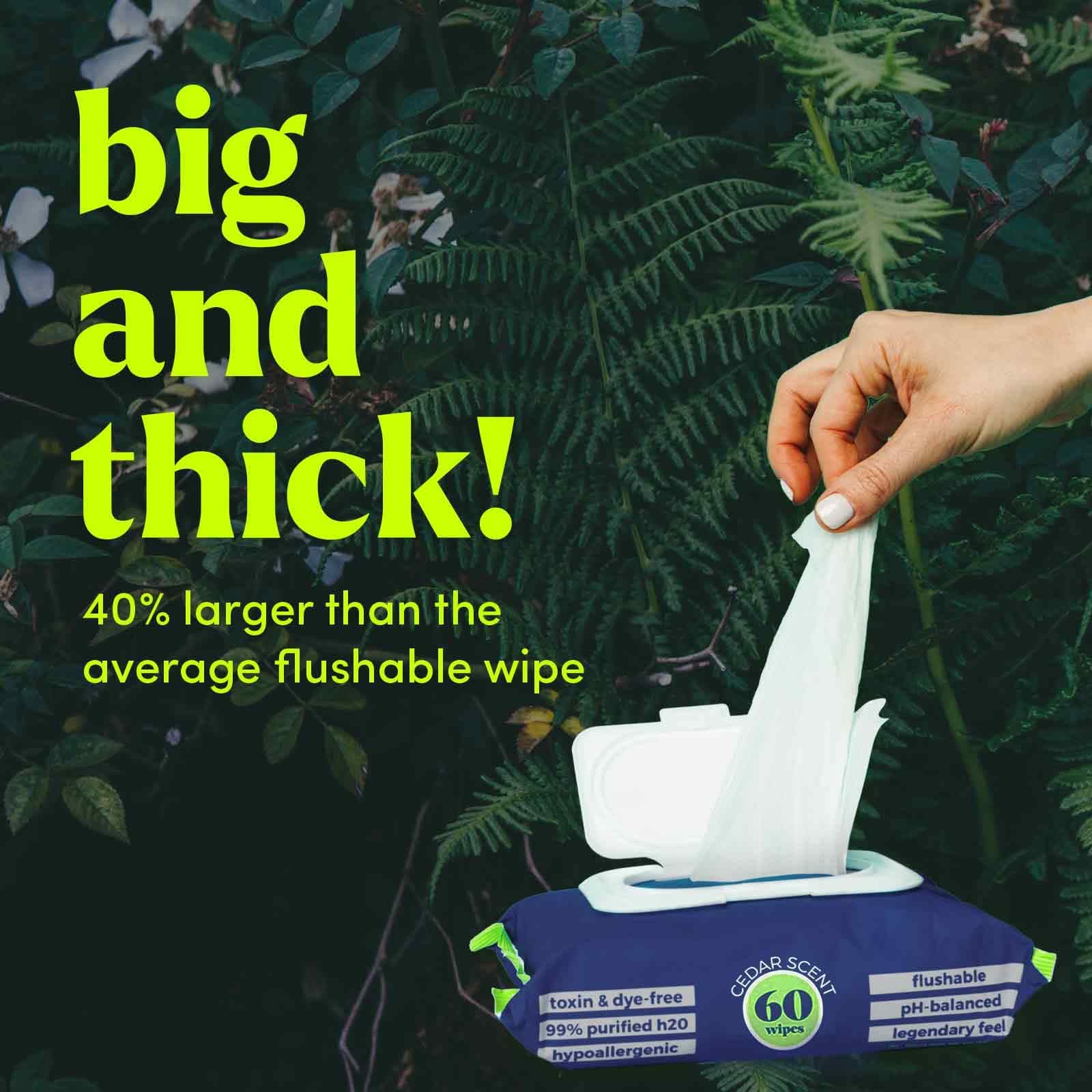 Goodwipes Flushable Butt Wipes, Cedar Scent, Biodegradable with Botanicals, Dispenser for At-Home Use, with Aloe, Septic and Sewer Safe & Never Dries Out, 180 Count (3 Packs of 60)