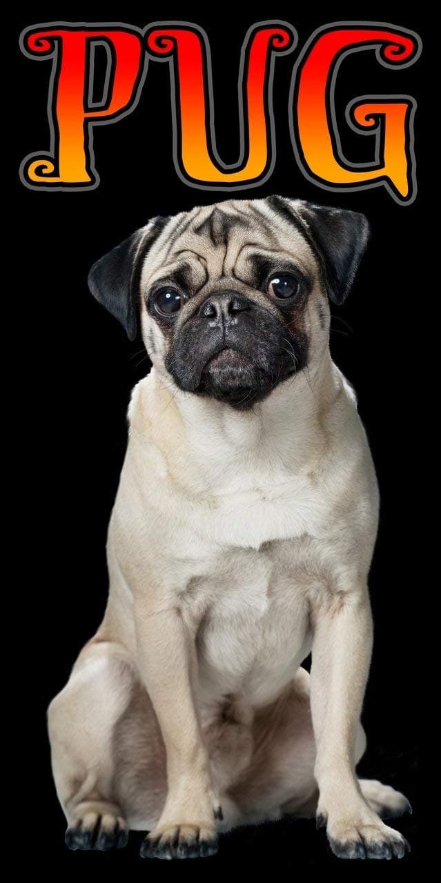 Island GearIsland Gear Pug Beach Towel