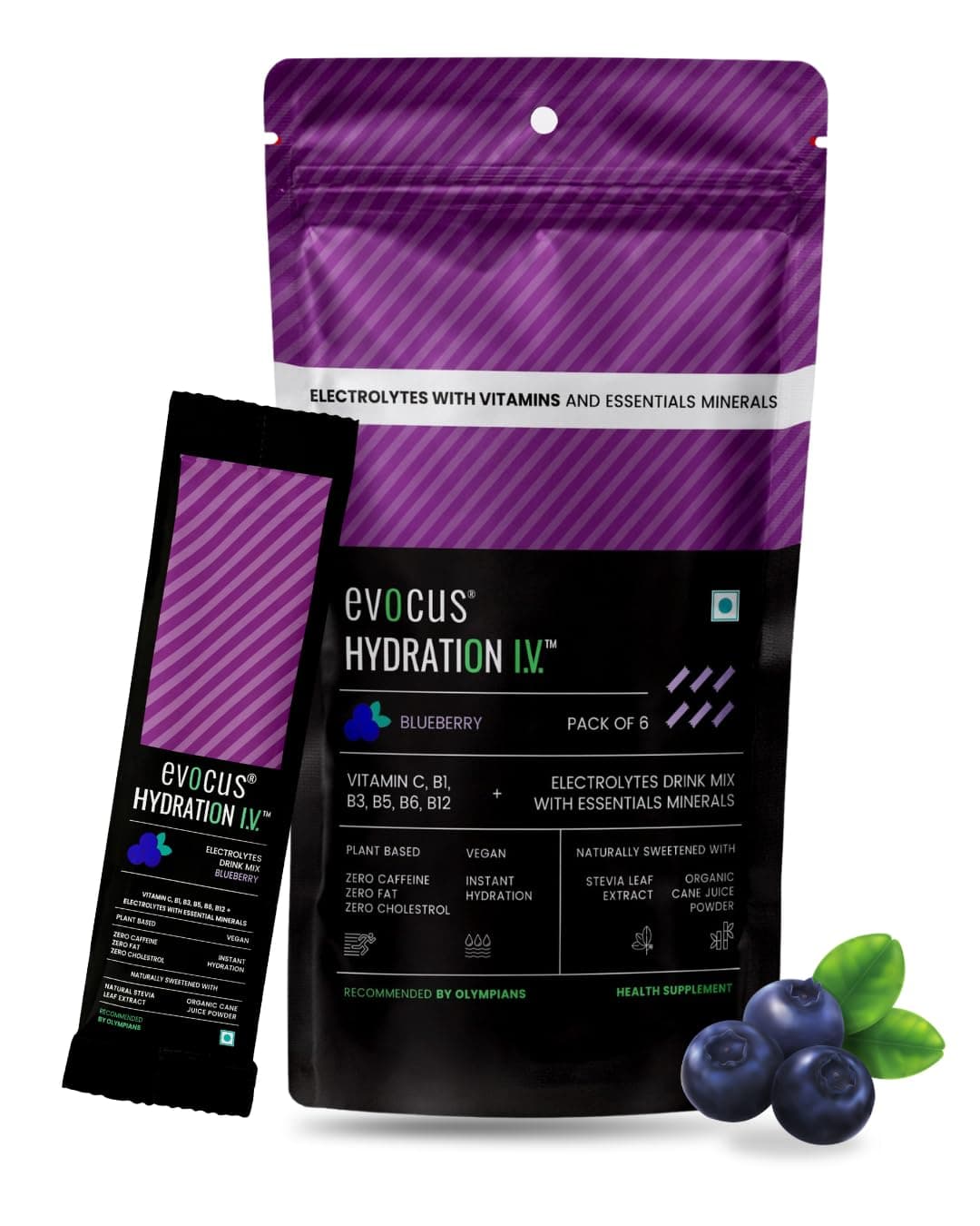 Hydration IV Electrolyte Drink Mix Powder | Blueberry | Energy Drink | Instant Hydration (Pack of 6)