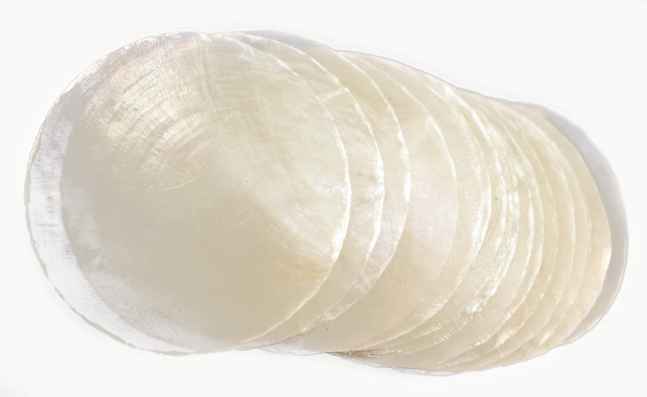 50 Capiz Shells White Round 2" (50mm) No Holes Crafts Windchimes Shellcraft