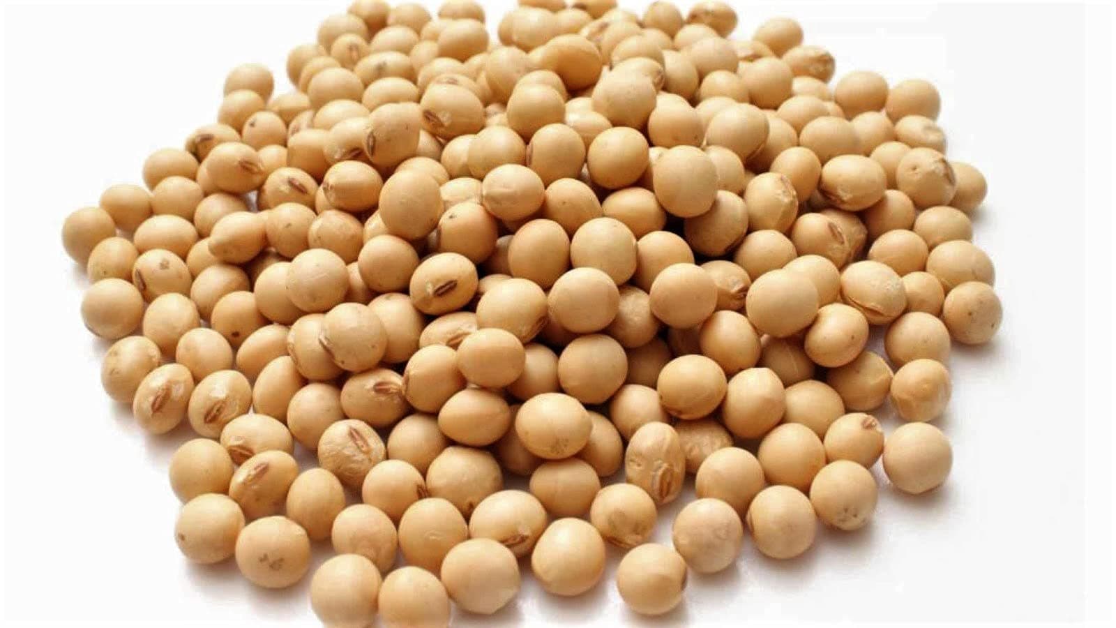 African Yellow Beans Okpa Beans/Bambara/Motobo/Jugo 2lbs