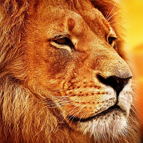 Mosaic Wooden Jigsaw Puzzle African Lion 101 Pieces Made in The USA