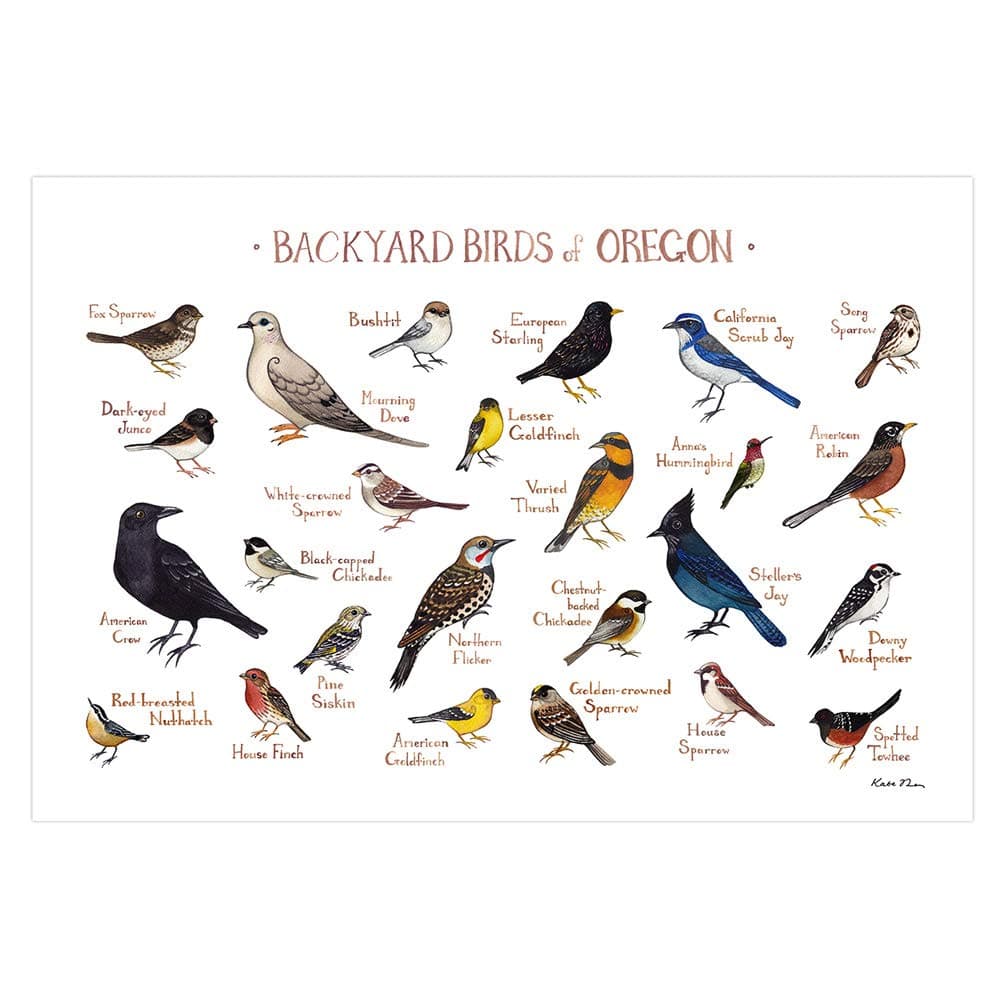Backyard Birds of Oregon Field Guide Art Print
