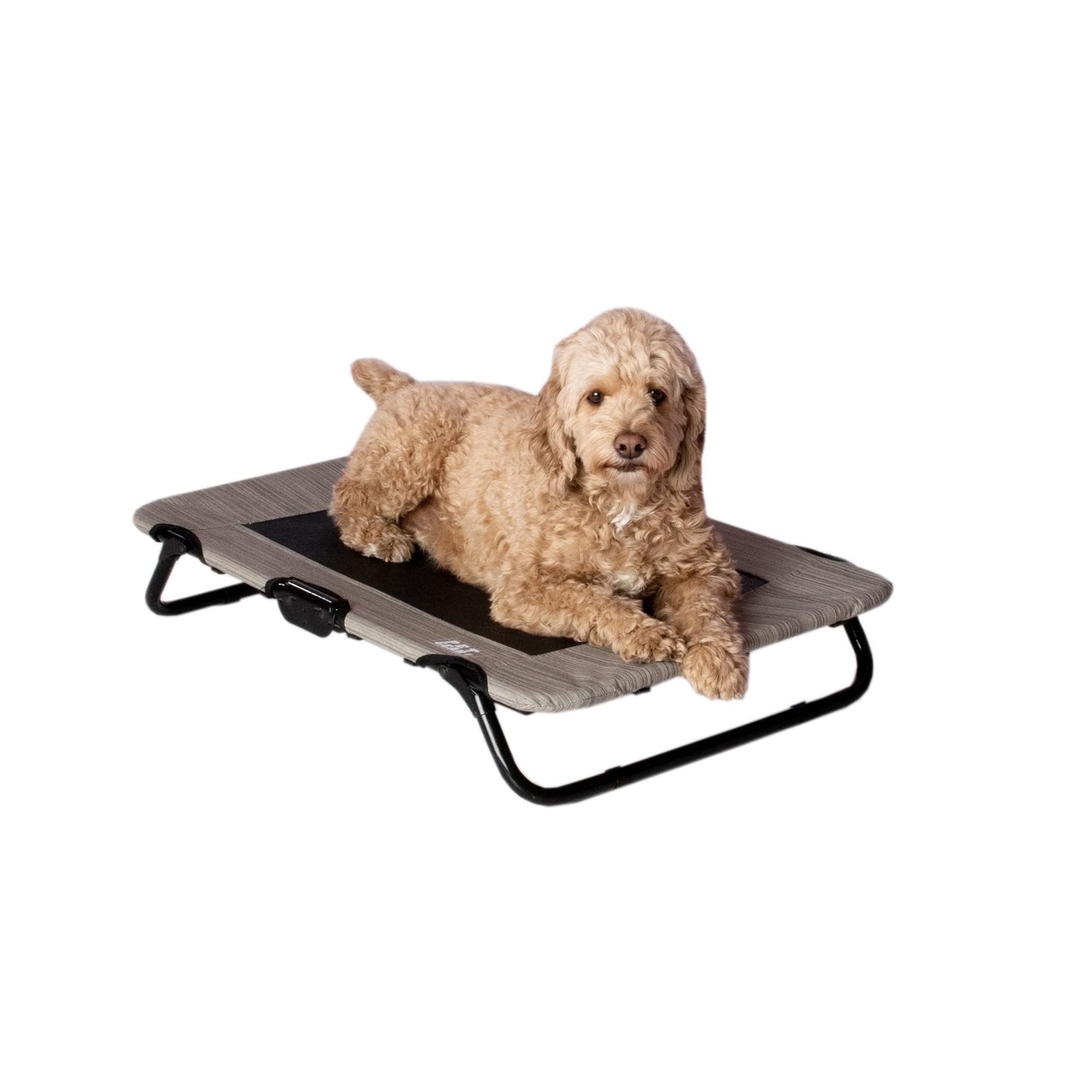 Pet Gear Lifestyle Pet Cot Elevated Bed, No Assembly Required, Premium Tear Resistant Cooling Mesh, Indoor & Outdoor, Lightweight & Portable, 3 Models, 2 Colors