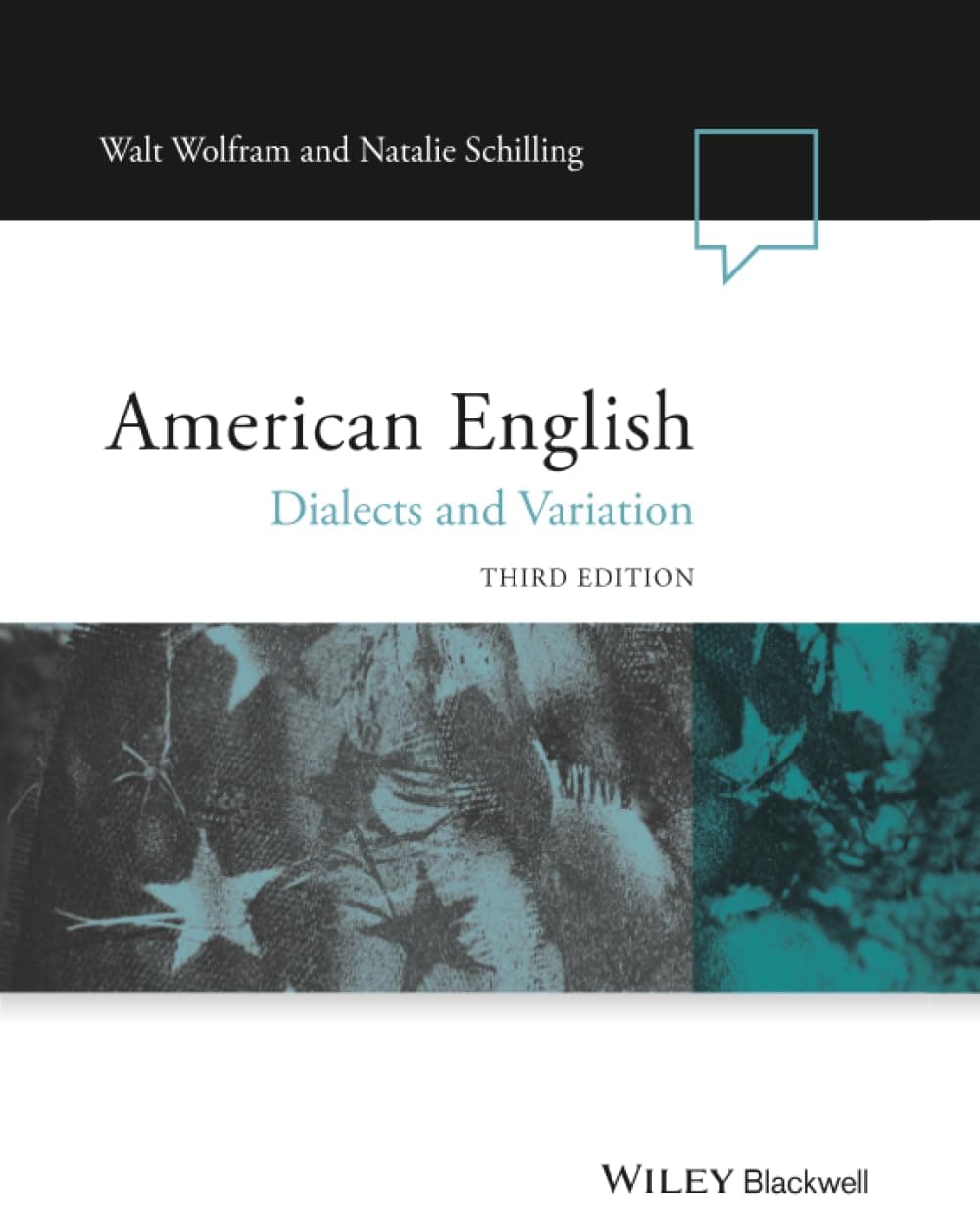 American English: Dialects and Variation (Language in Society)