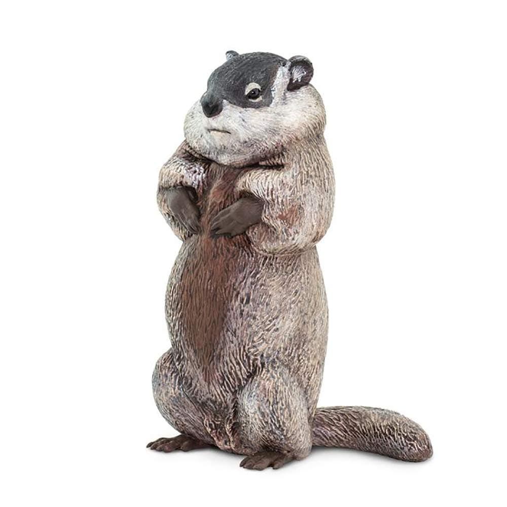 Safari Ltd. Groundhog Figurine - Detailed 4.5" Plastic Model Figure - Fun Educational Play Toy for Boys, Girls & Kids Ages 18 Months +