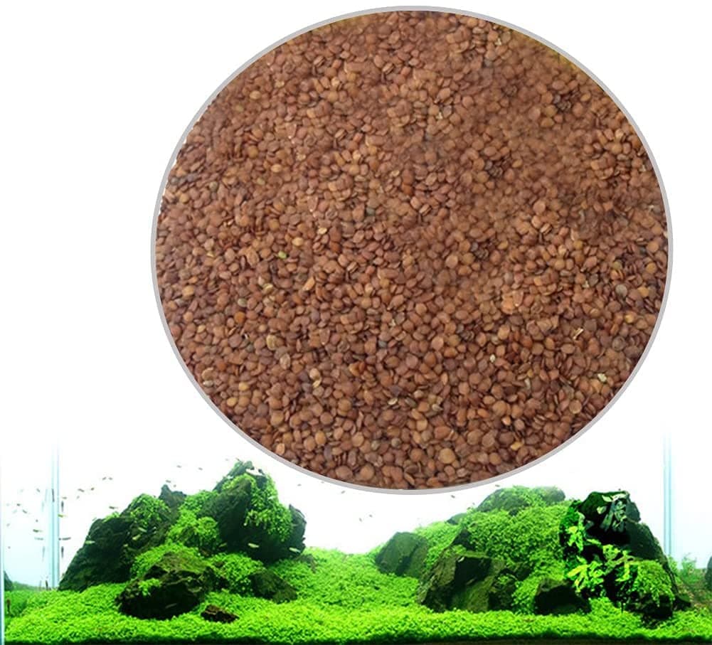 REPTI ZOO Accreate New Aquarium Plant Seeds Aquatic Water Grass Decoration as Garden Fish Tank Foreground Plant Large Eleocharis acicularis (XX-Small)