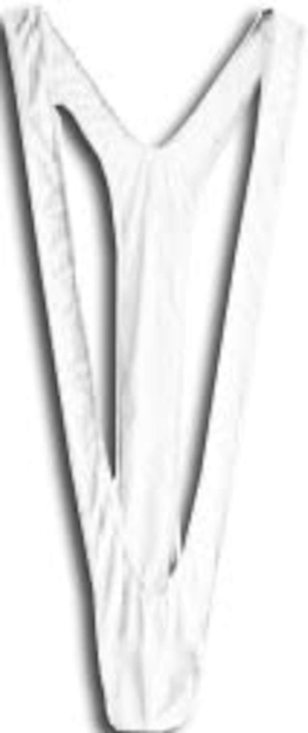 Thong Swimsuit Costume