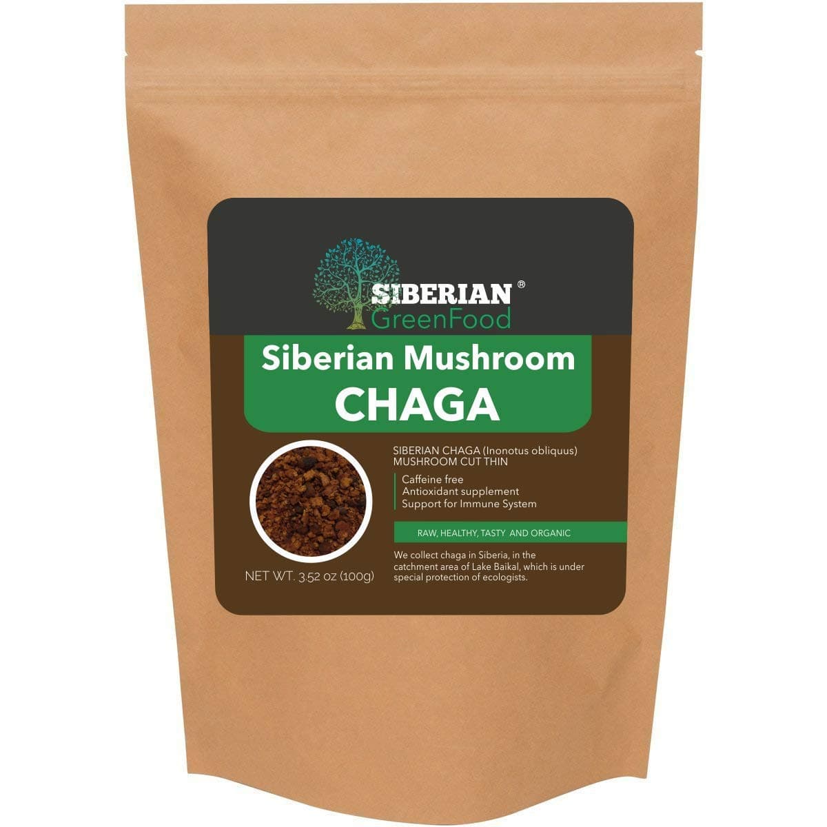 Organic Chaga Mushroom Powder (Chaga Tea) from Siberia 100gr/3.52oz, Premium Quality, Wild Harvested, Raw and Organic | by Siberian Green Food