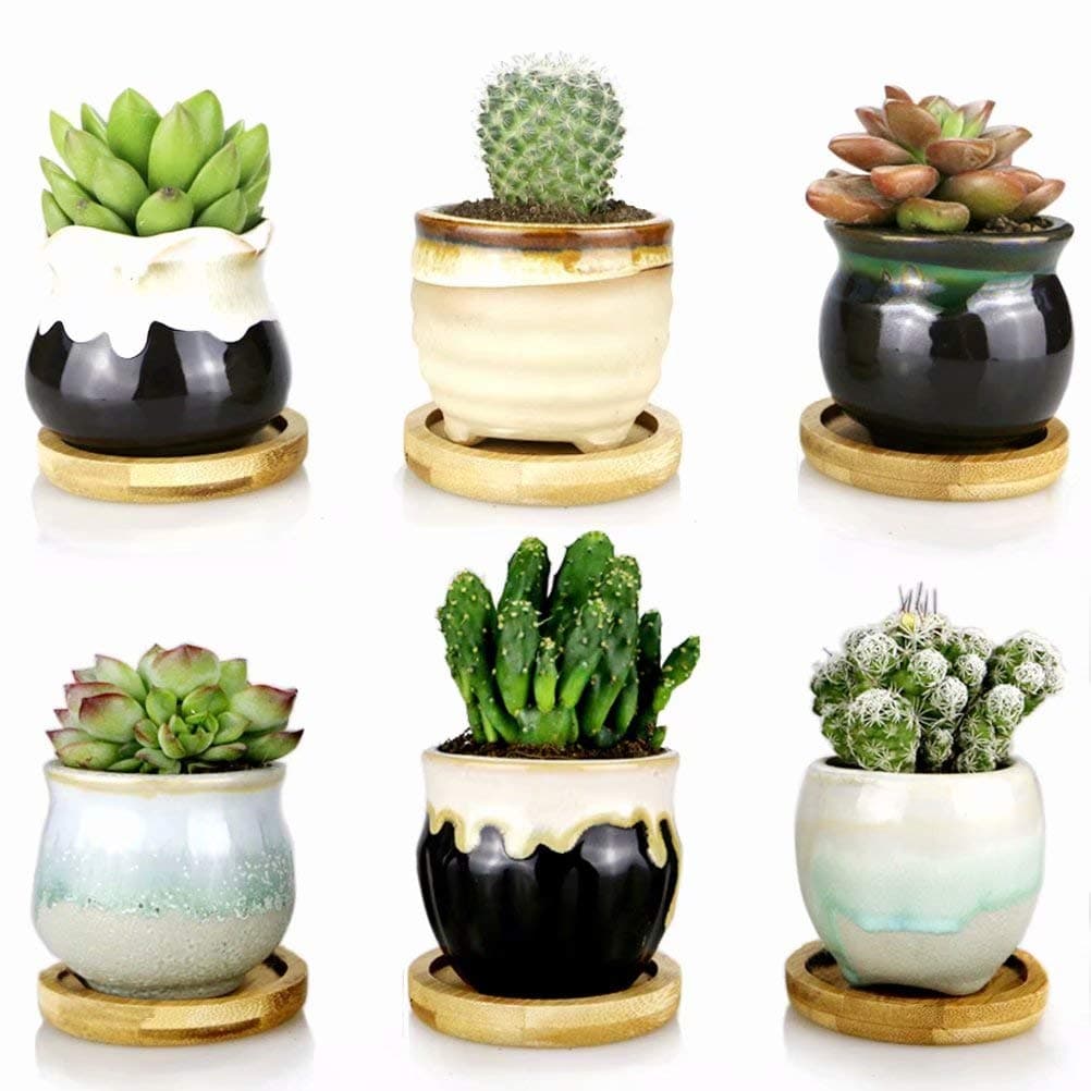 Succulent Planter Pots Ceramic-Pack of 6 Flowing Glazed 2.5" Small Plant/Cactus Pots,Clay Pots with Drainage Window Boxes with Bamboo Tray