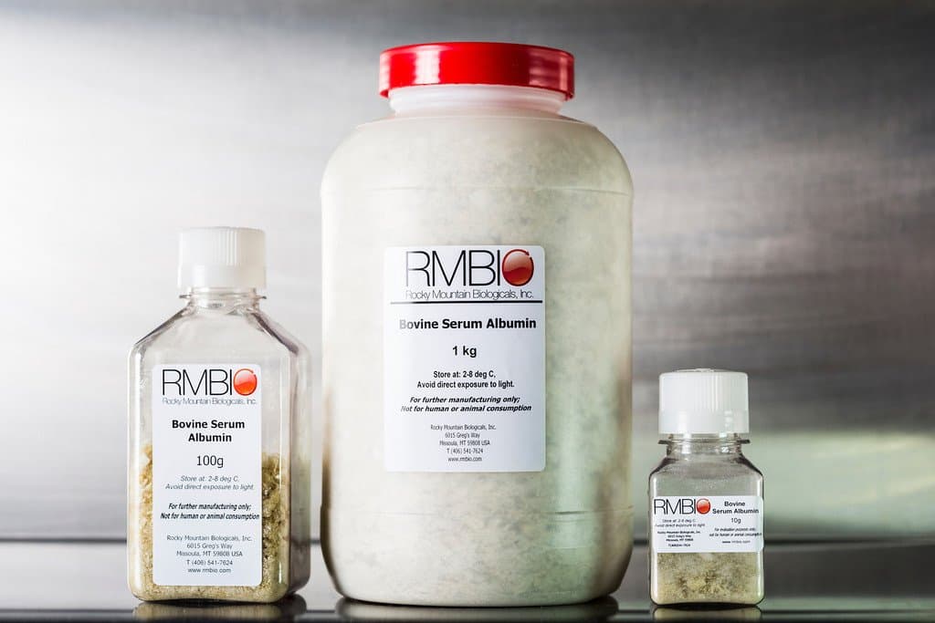 Bovine Serum Albumin, Heat Shock, RMBIO BSA-BSH-25G