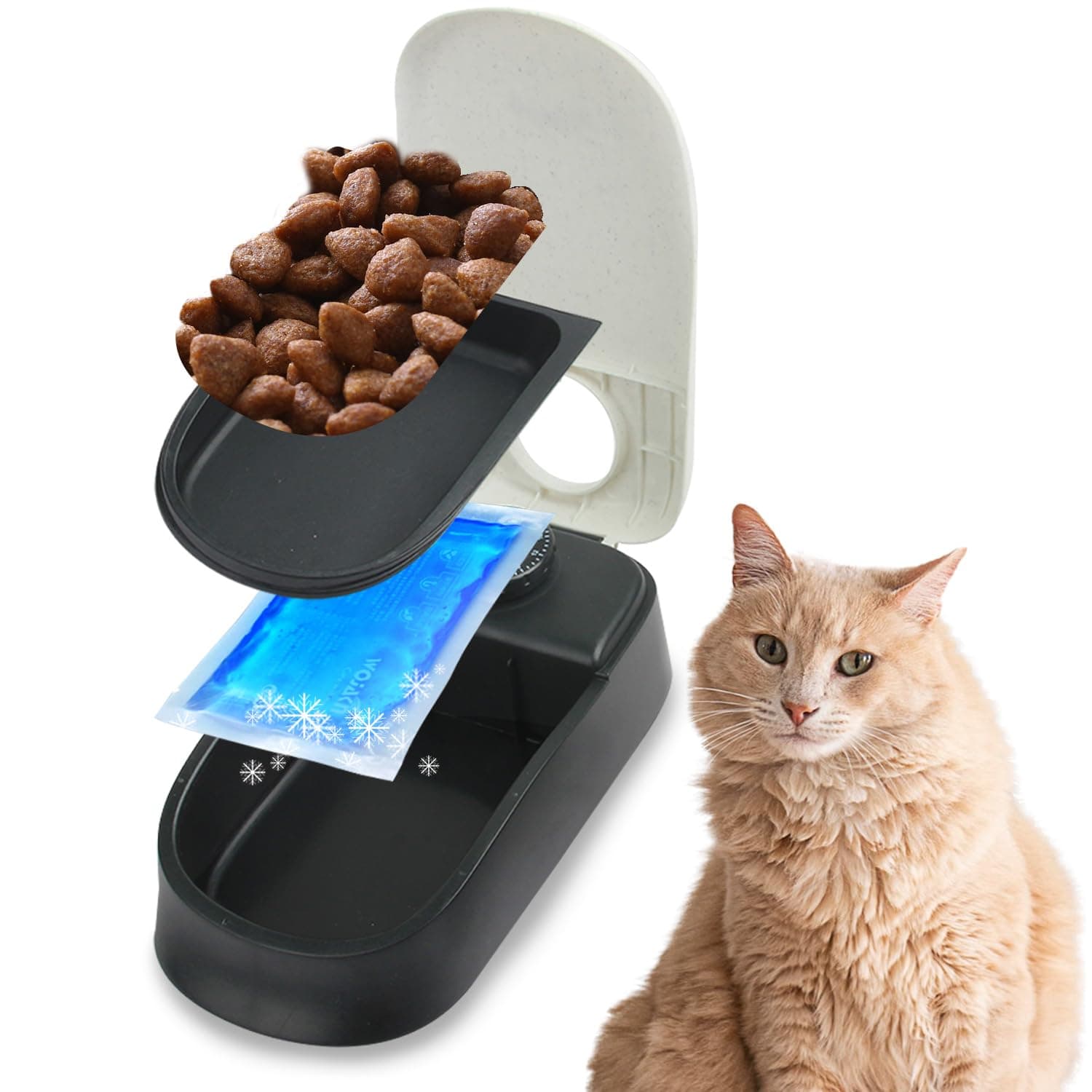 Pawise Automatic Cat & Dog Feeder with Ice Pack - 1-Meal Wet & Dry Food Dispenser, 48-Hour Timer, Dishwasher Safe, Perfect for Pets