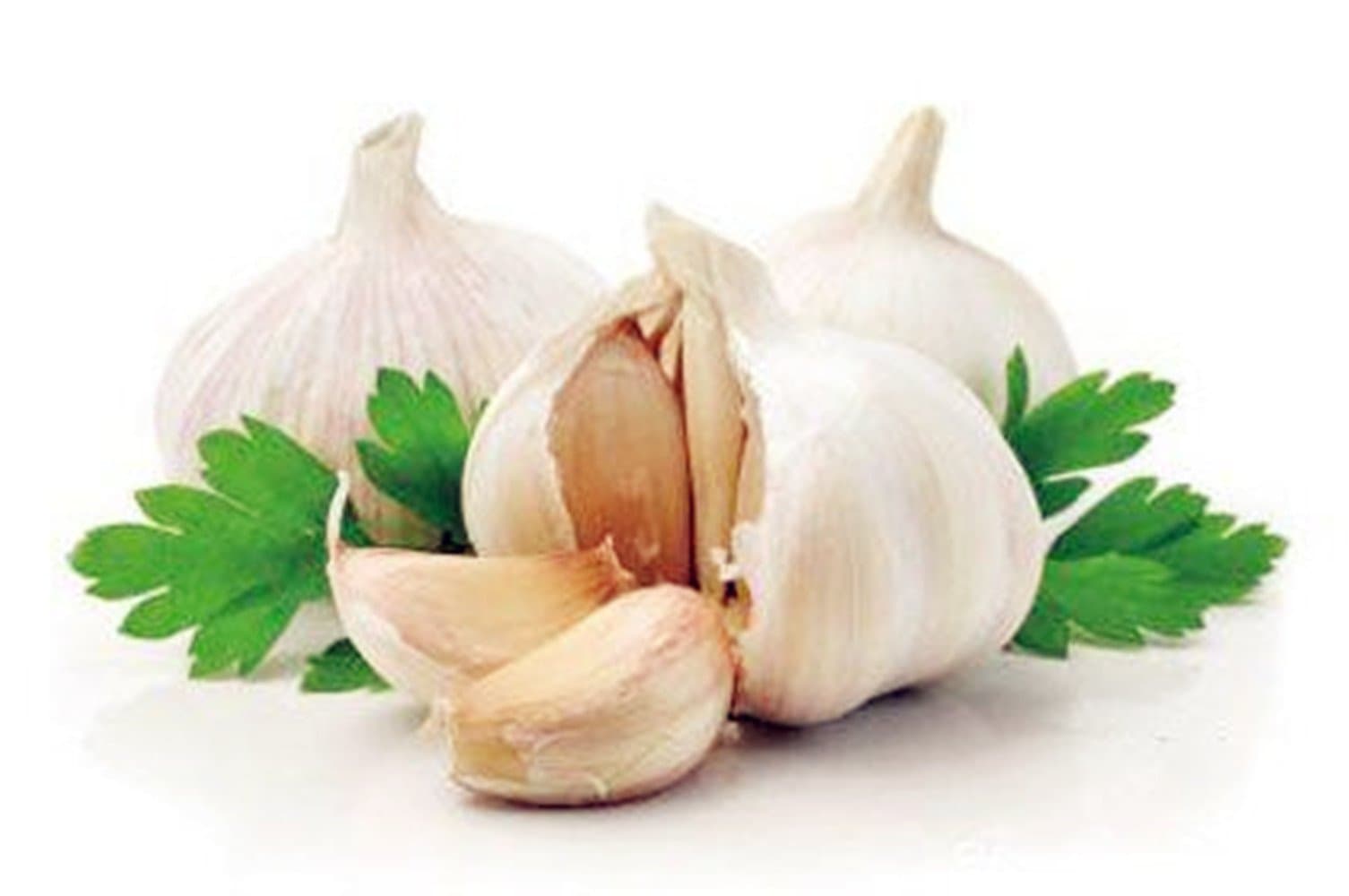 3 x Garlic Bulbs ' Solent Wight ' Allium sativum (Spring Planting) - British Seed Garlic - Plant Now - Free UK P & P (3)