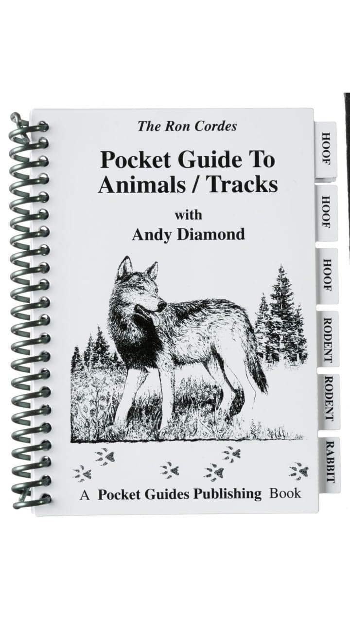 Pocket Guide - Outdoor Survival - Andy Diamond - Ron Cordes