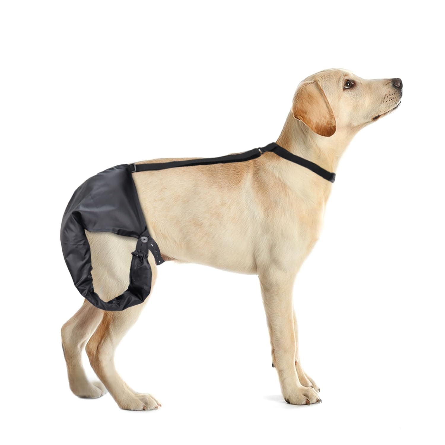 Dog Tail Guard Dogs Tail Protector Bag Dogs Tails Heal Sleeve for Dog Happy Tail Syndrome Happy Tail Solution