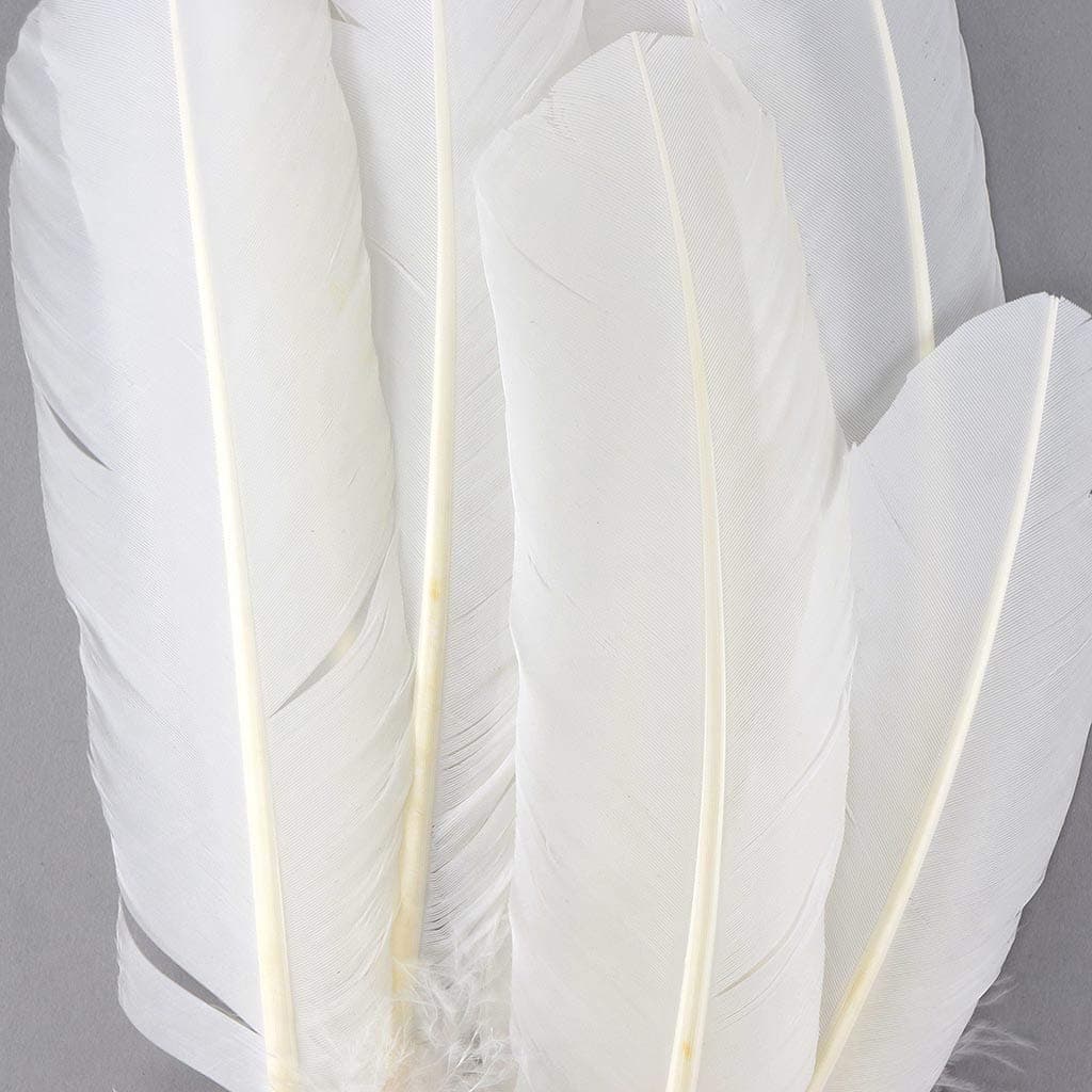 Zucker 10-12 inch Turkey Feathers for Crafts - 4pc Quills for DIY Headdress, Dream Catcher, Home Decor - (White)