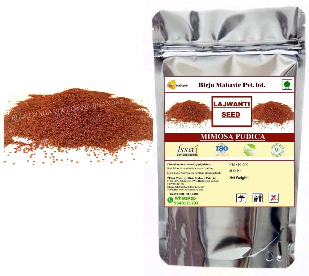 Lajwanti Seed/Chui MUI/Mimosa Pudica Seed 1 Kg (35.27 OZ) by BIRJU MAHAVIR