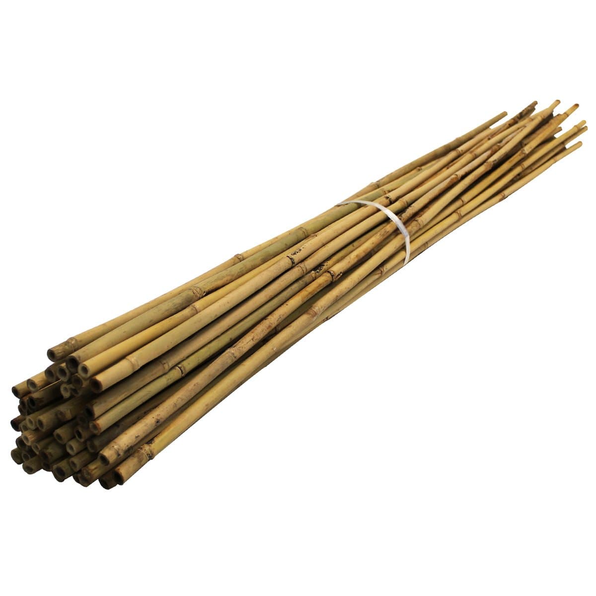 Bamboo Canes For Gardens/Plant Support | Multiple Lengths & Pack Sizes: 3ft to 12ft | Supplied by Suregreen (50, 1.2m / 14-16mm)