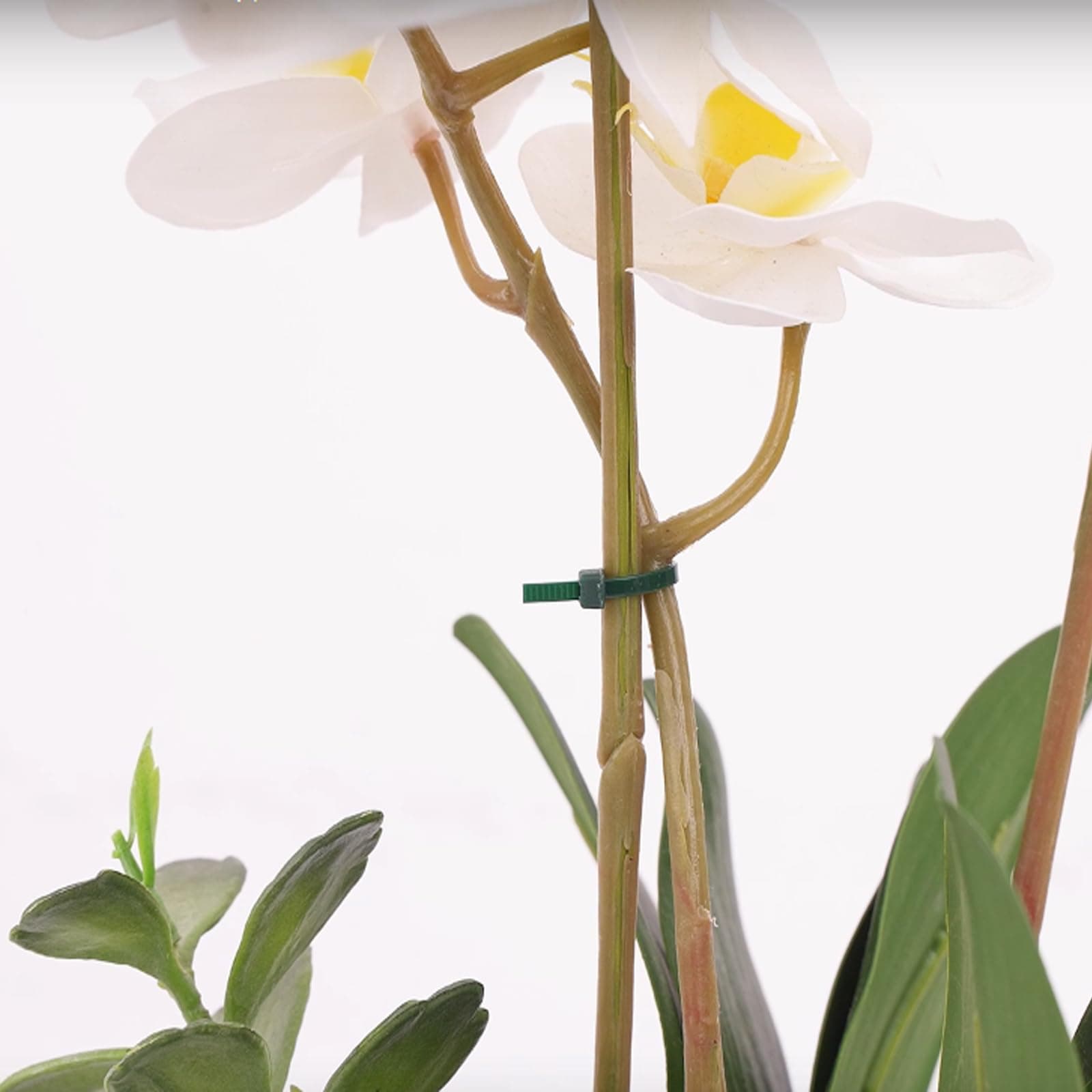 KINGLAKE GARDEN Green Zip Ties 6 Inch 3MM 300 Pack 18 Lbs Self-Locking Nylon Ties