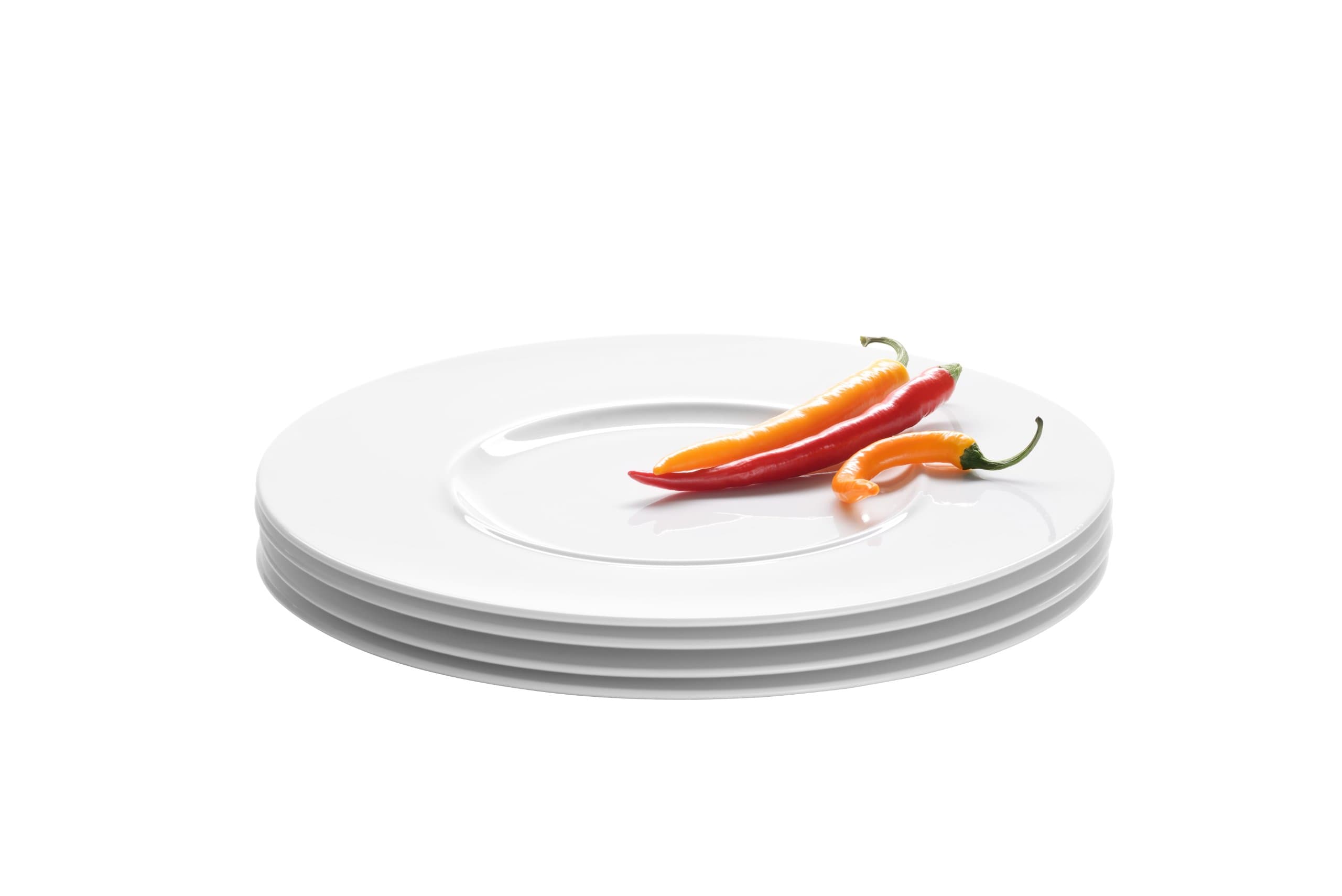 Domestic Professional 4-Piece 33 cm Set Space Gourmet Plates