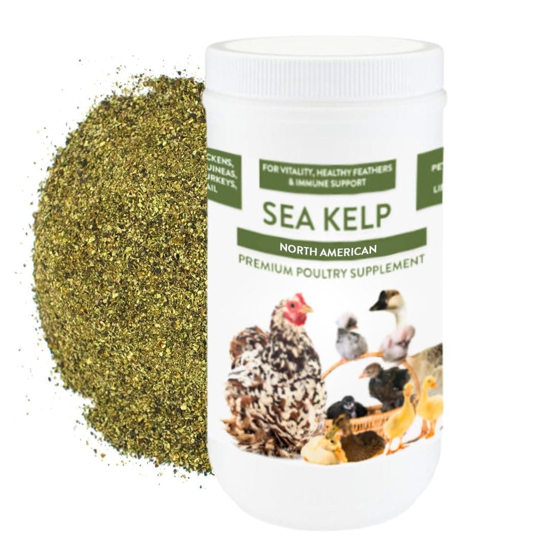 Pampered Chicken Mama Organic Chicken Kelp: Chicken Vitamins Supplement & Duck Feed Supplement 1LB