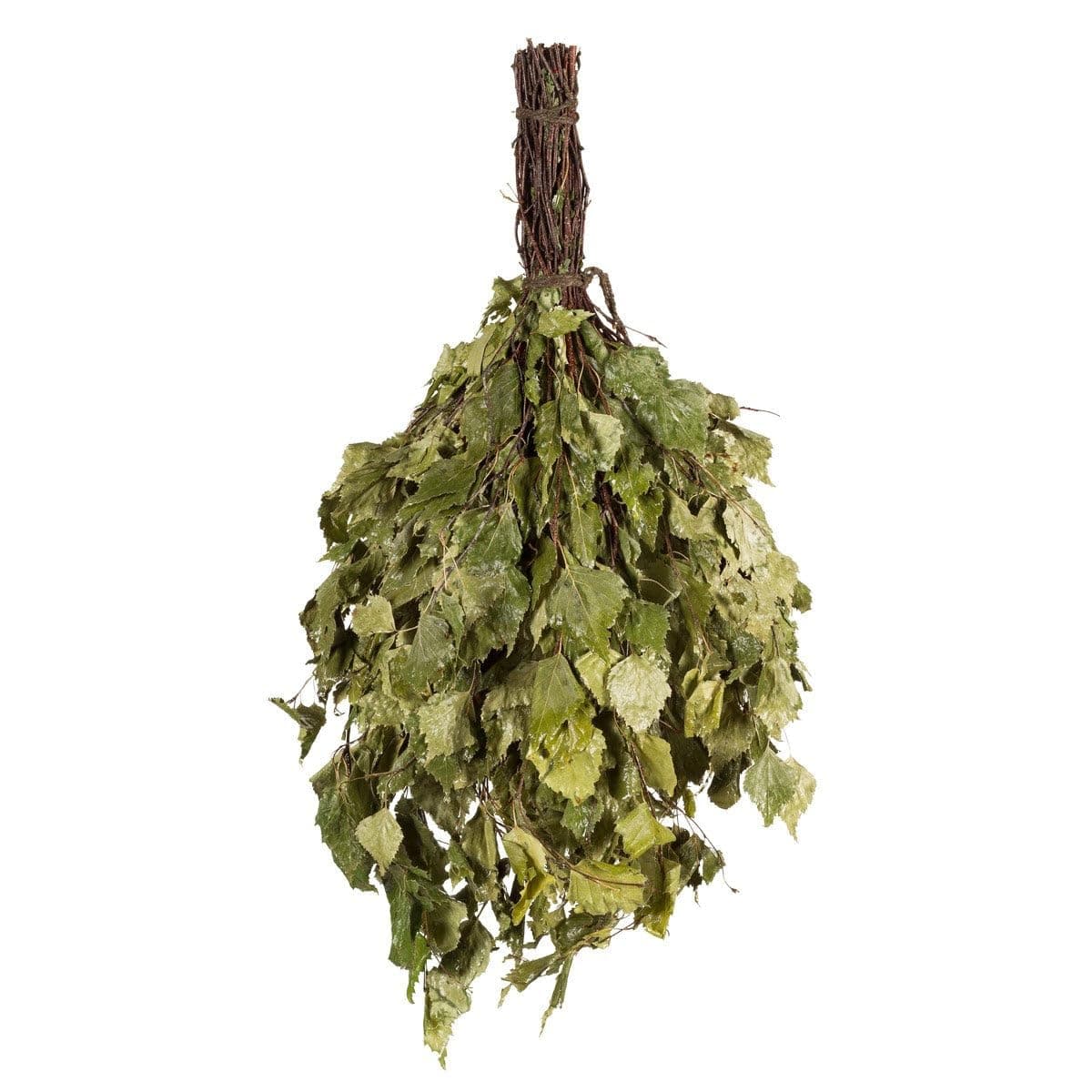 Sauna Dried Birch Whisk