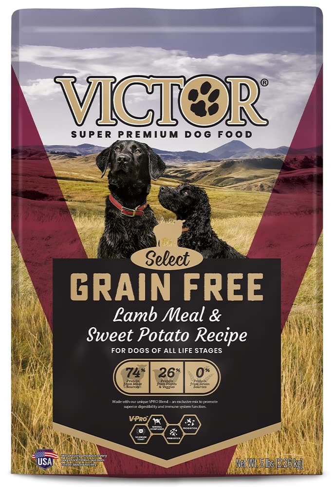 VICTOR Select Lamb Meal & Sweet Potato, Dry Dog Food