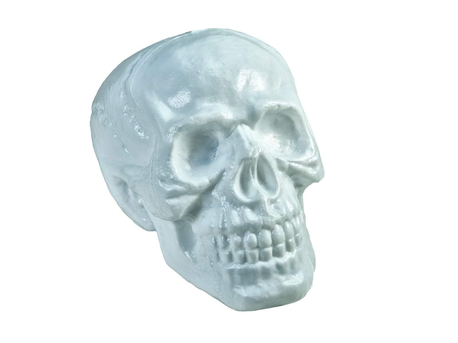 EuropalmsHalloween Skull, 31 x 22 x 22 cm, Multi-Colour, One Size