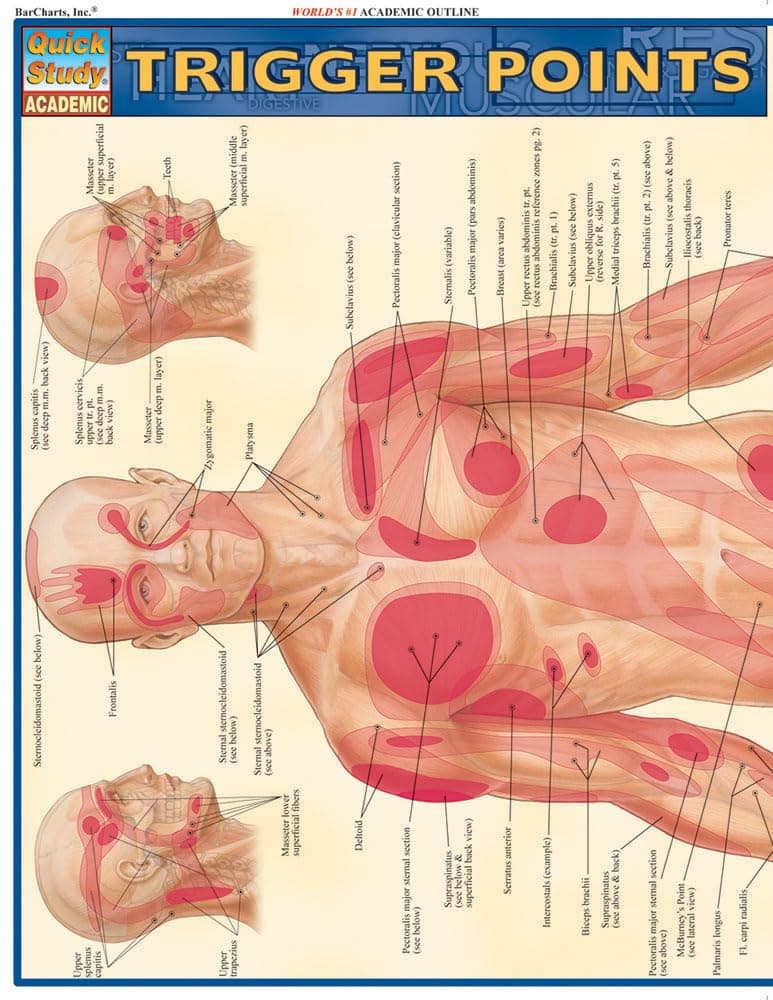 Trigger Points QuickStudy Laminated Reference Guide (QuickStudy Academic)