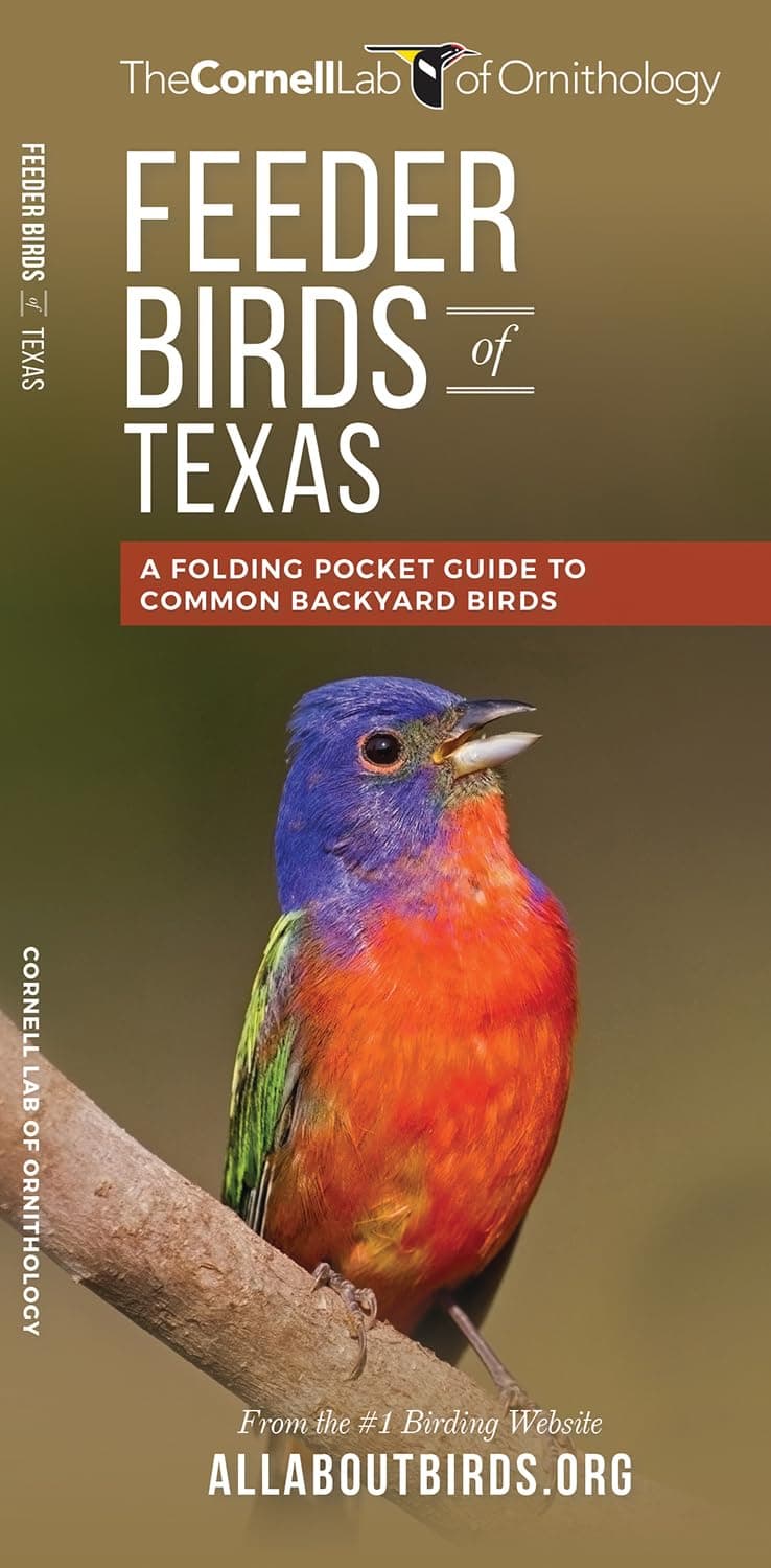 Feeder Birds of Texas: A Folding Pocket Guide to Common Backyard Birds (All about Birds)