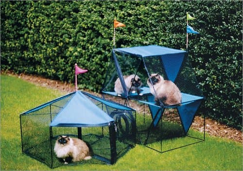 Kittywalk Carnival Pet Containment Gym