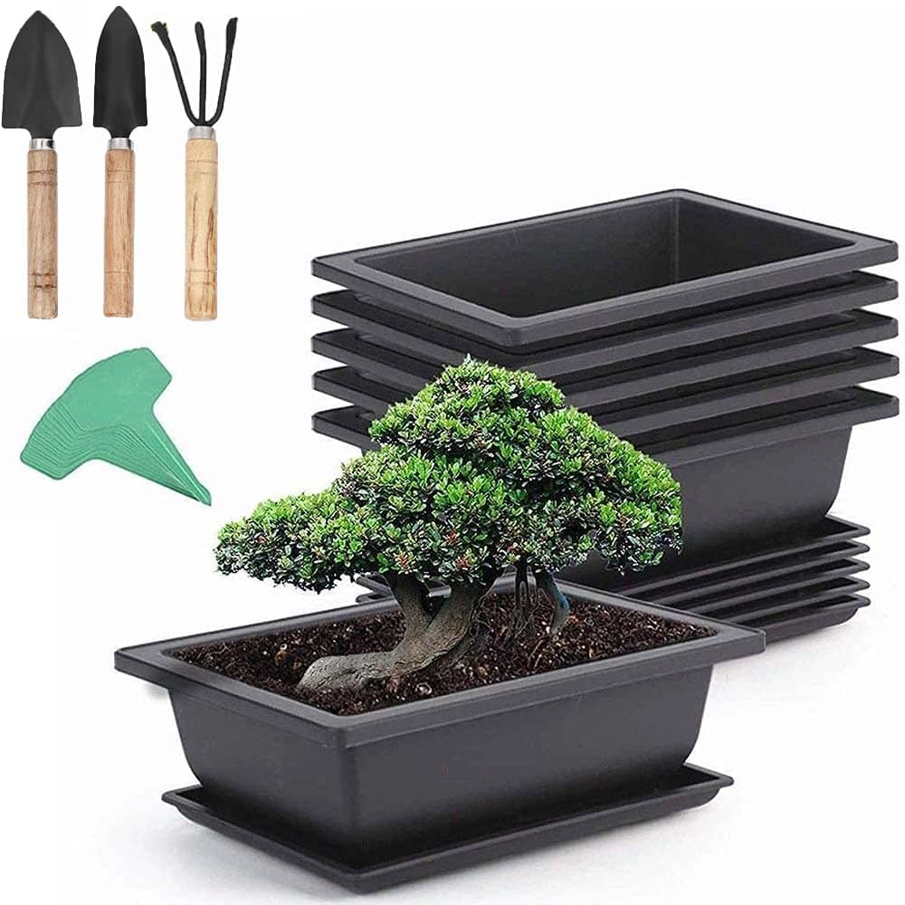 ADLOASHLOU 6 Pieces Rectangle Plant Pot with 7 Pieces Plant Labels, Plastic Bonsai Training Pots, Flower Succulent Pots with Trays Durable Planter Plants Growing Pots Container for Garden SMALL