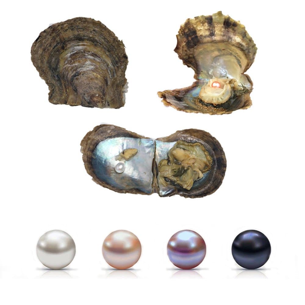 4PC Saltwater Pearl Cultured Love Wish Akoya PearlOyster with Pearl Inside for Pearl Gift Fun for Children Family Friends PartyOyster with Pearls Inside(7-8mm, 4PC)