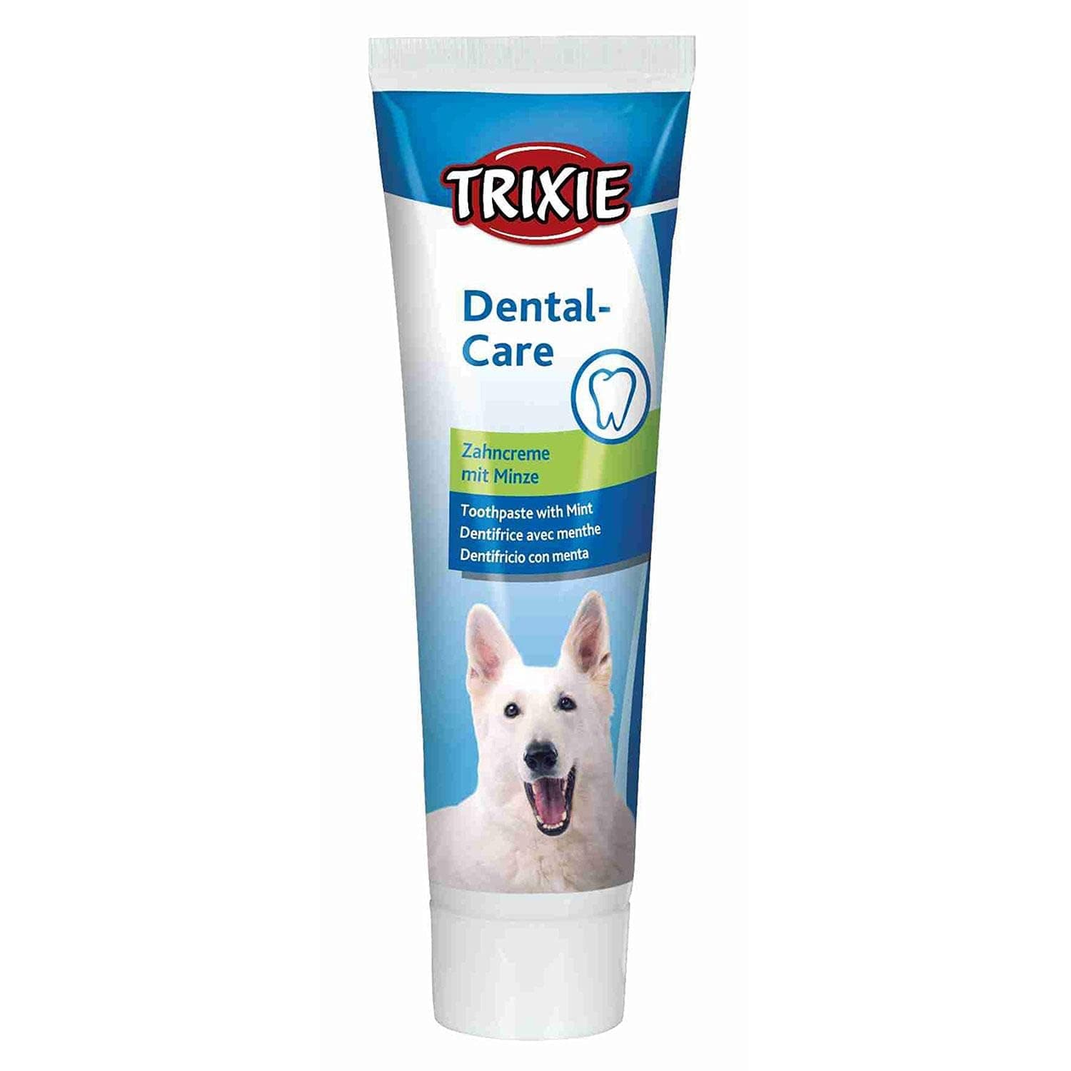 Mint Toothpaste for Dog, 100 g
