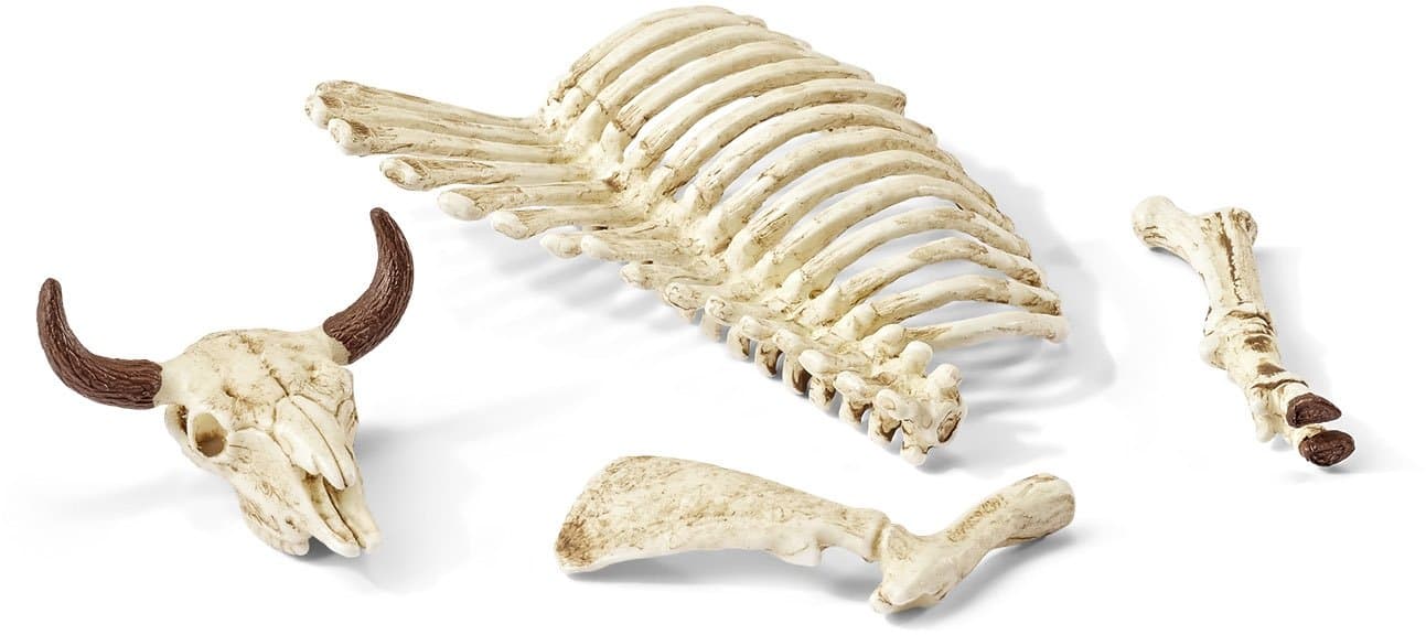 SCHLEICH 42249 - Wild Life Bones