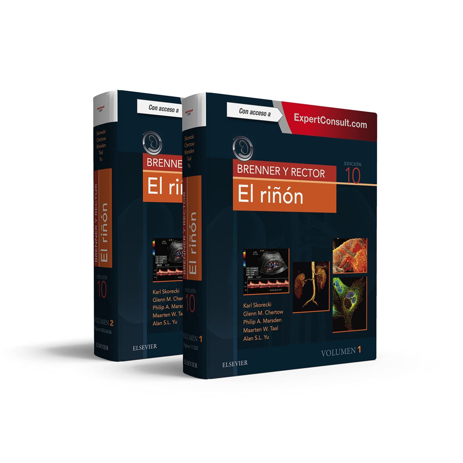 Brenner y Rector. El riñón + ExpertConsult (10ª ed.): Brenner and Rector's The Kidney